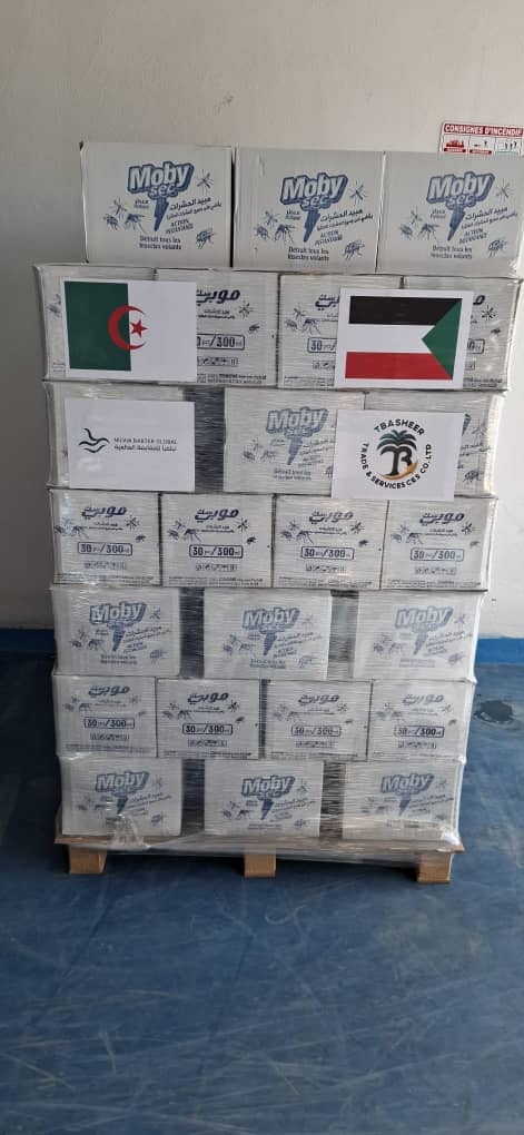 Nilvia Export Pallet